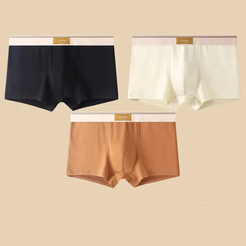 Shop All I Want Black White Brown / XXL 60-70KG / 3pcs SHOP ALL I WANT 🩲 3PCS Men's Cotton Boxer Shorts – Comfortable and Breathable