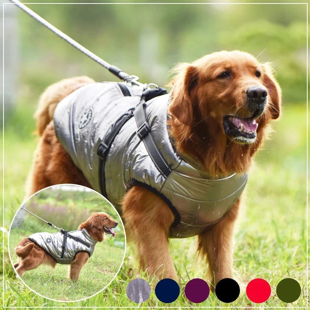 Shop All I Want Shop All I Want Warm and Waterproof Dog Coat! 🐾🧥