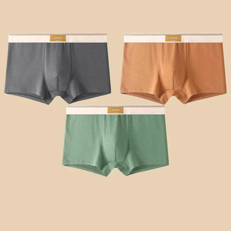 Shop All I Want DarkGray Brown Green / XXL 60-70KG / 3pcs SHOP ALL I WANT 🩲 3PCS Men's Cotton Boxer Shorts – Comfortable and Breathable