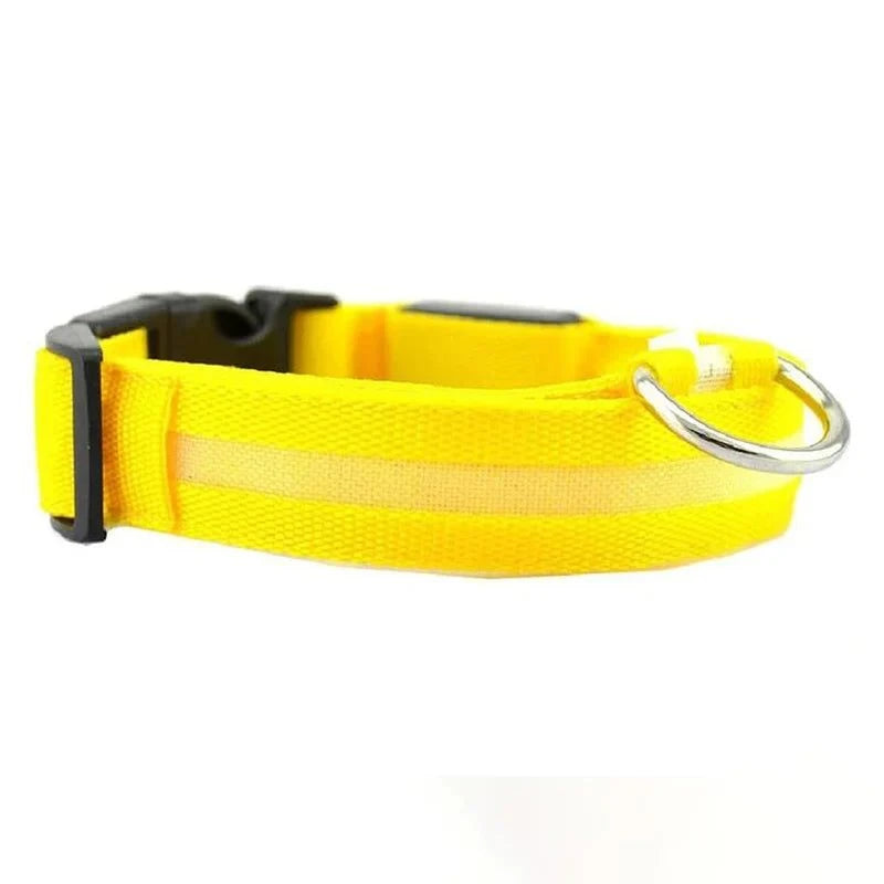 Shop All I Want Yellow battery / S neck 35-43cm SHOP ALL I WANT Rechargeable, Waterproof Glow in the Dark Collar ! 🐾💡