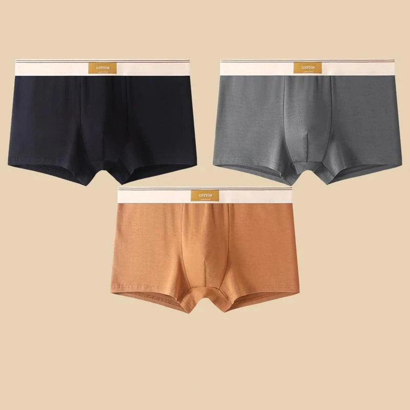 Shop All I Want Black Brown DarkGray / XXL 60-70KG / 3pcs SHOP ALL I WANT 🩲 3PCS Men's Cotton Boxer Shorts – Comfortable and Breathable