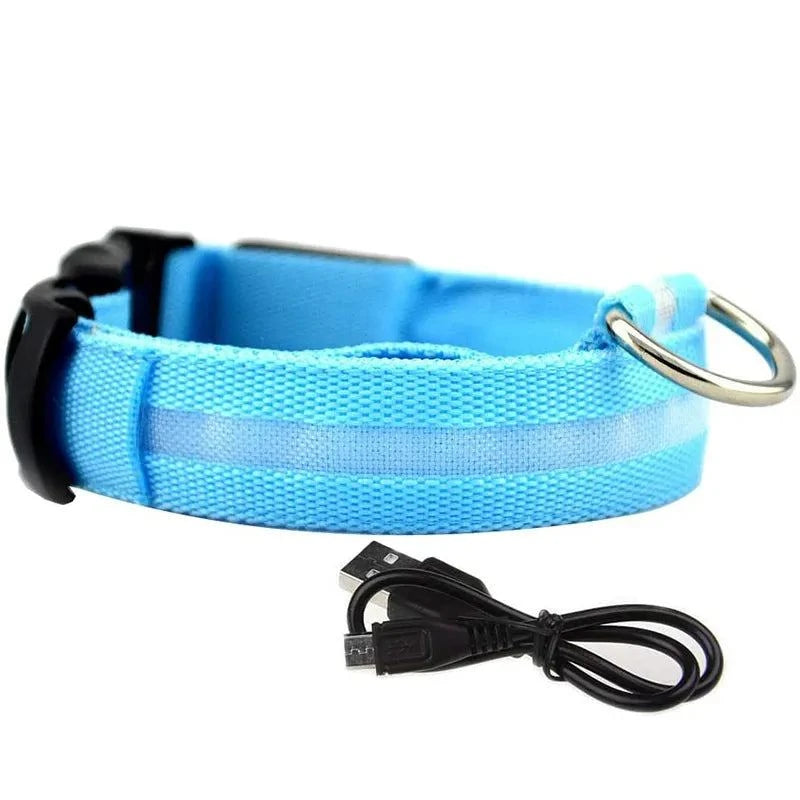 Shop All I Want Blue usb charging / S neck 35-43cm SHOP ALL I WANT Rechargeable, Waterproof Glow in the Dark Collar ! 🐾💡