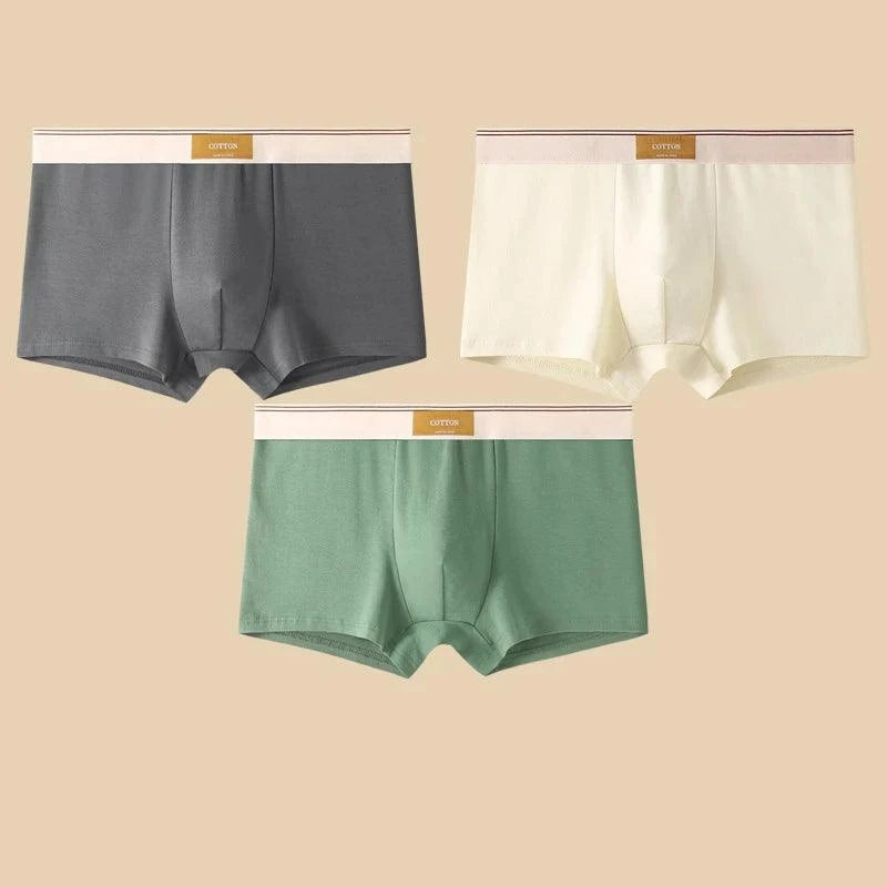 Shop All I Want DarkGray White Green / XXL 60-70KG / 3pcs SHOP ALL I WANT 🩲 3PCS Men's Cotton Boxer Shorts – Comfortable and Breathable